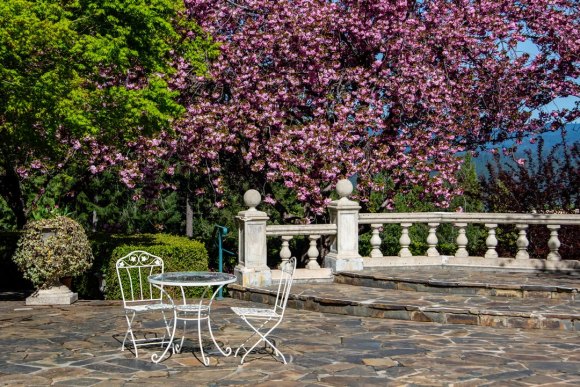 White metal table and two chairs, on paved patio with white fence, blooming cherry tree, and other greenery in background, taken at Crystal Hermitage.