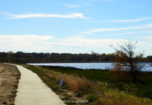 Anything Is Possible Travel - Consumnes River Preserve