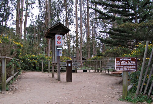 Accessible entrance to Monarach Butterfly Sanctuary, Pacific Grove, CA