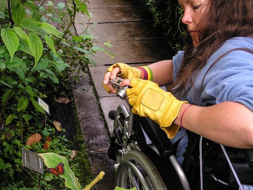 BPO Elks | Deer hide | Gloves | Fingerless Gloves | Wheelchair Accessory | Accessible Travel | Veterans | Amsterdam | Hortus Botanicus