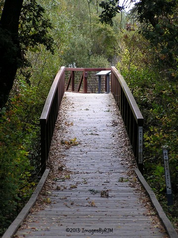 Anything Is Possible Travel - Consumnes River Preserve