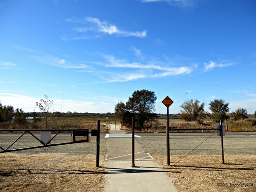 Anything Is Possible Travel - Consumnes River Preserve