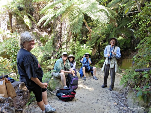 Abel Tasman National Park