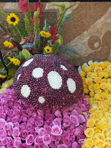 Inspiring Stories, Rose Parade, wheelchair accessible, Showcase of Floats