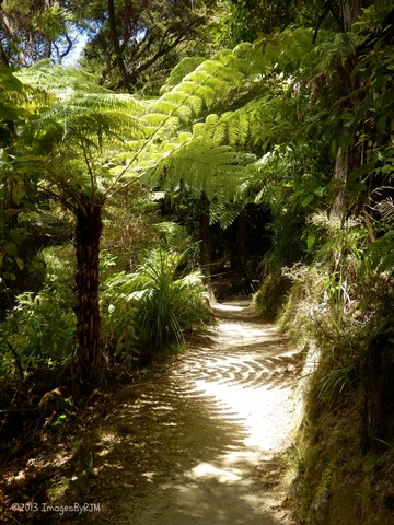 Abel Tasman National Park