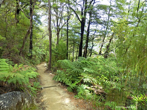 Abel Tasman National Park