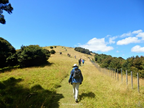 Easy for able-bodied walkers. Not accessible for wheelchairs.