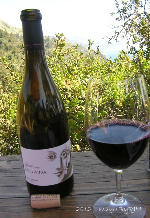 Bottle and glass of red wine, with foliage and ocean in background.