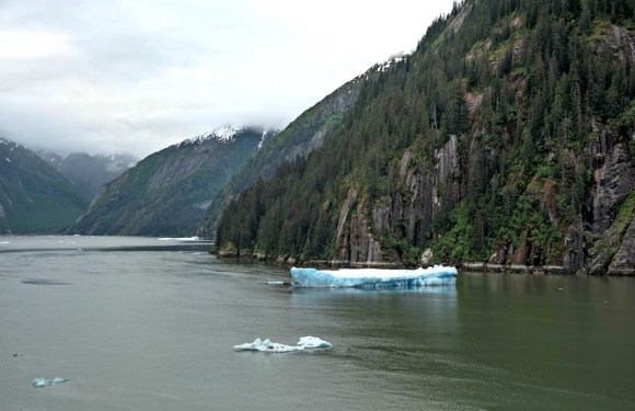 Tracy Arm Fjord | Alaska | glacier | travel | nature | Alaskan cruise | May 2016 | Brent Nixon | glacial ice | ©2016 ImagesByRJM