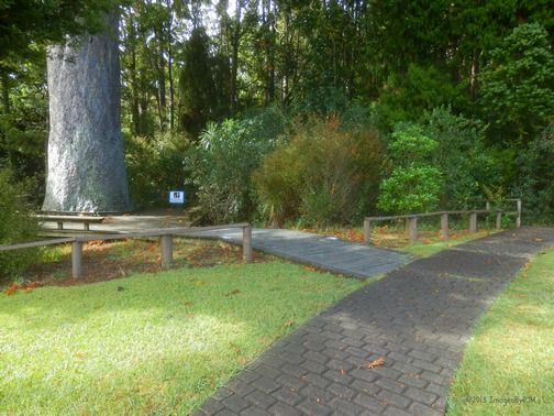 Parry Kauri Park
