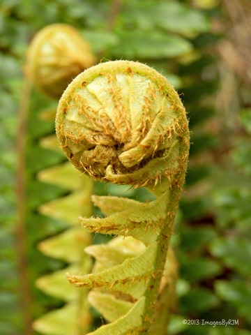 Abel Tasman National Park