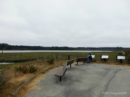 Kirby Park at Elkhorn Slough Preserve