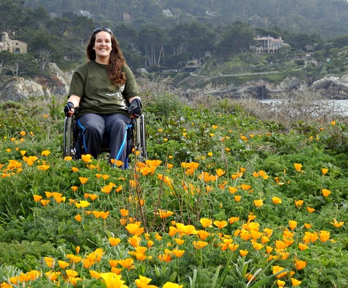 Point Lobos State Natural Reserve, Bird Island Trail, wheelchair accessible