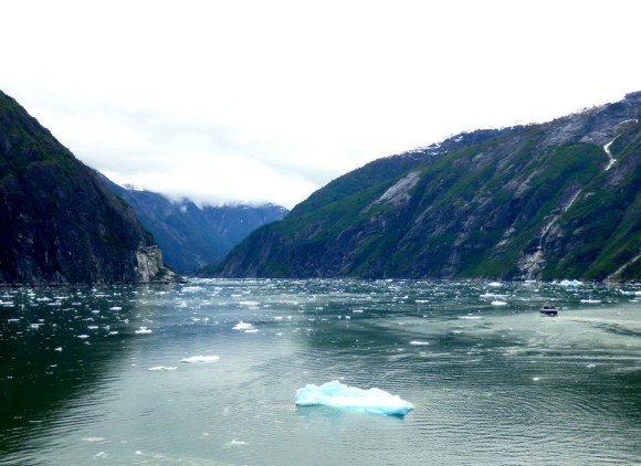Tracy Arm Fjord | Alaska | glacier | travel | nature | Alaskan cruise | May 2016 | Brent Nixon | glacial ice | ©2016 ImagesByRJM