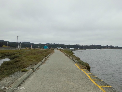 Kirby Park at Elkhorn Slough Preserve