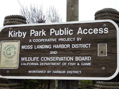 Kirby Park at Elkhorn Slough Preserve