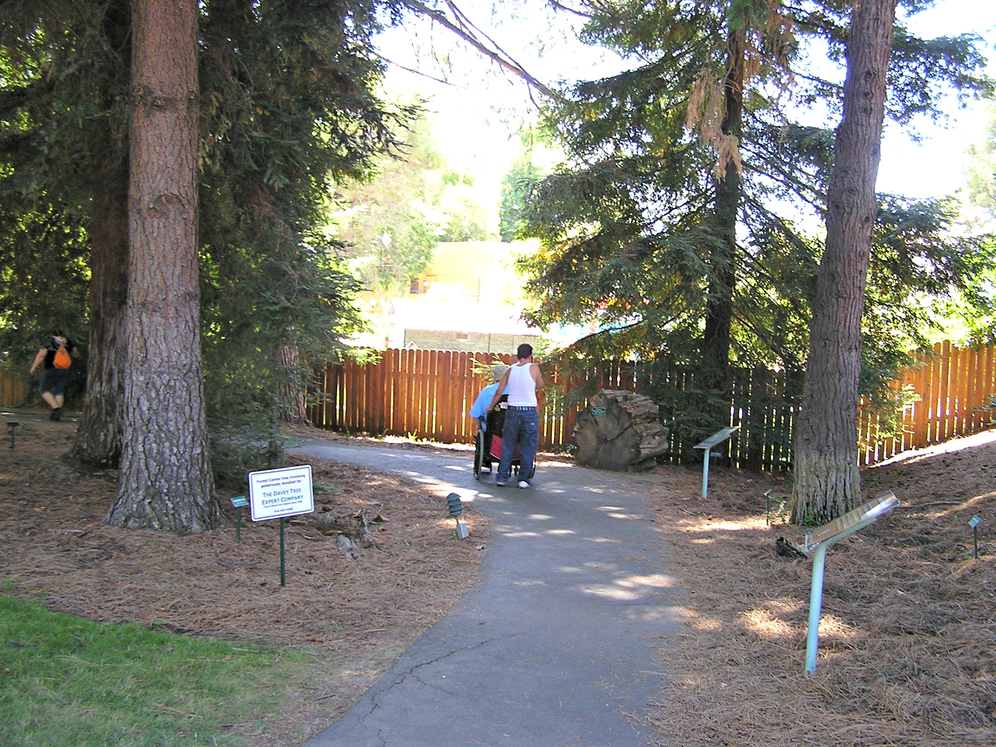 Forest Center - California State Fair 2012