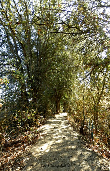 Anything Is Possible Travel - Consumnes River Preserve