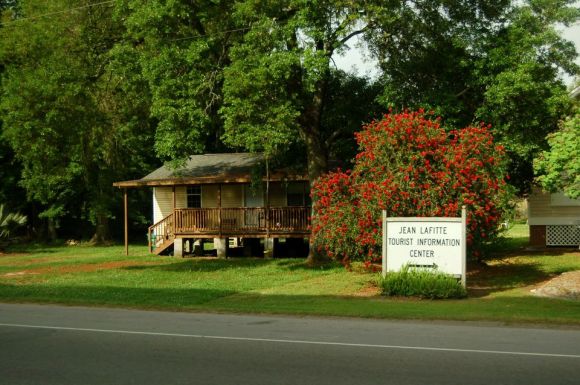 swamp tour, Lafitte, Louisiana, April 2015, ©2015 ImagesByRJM