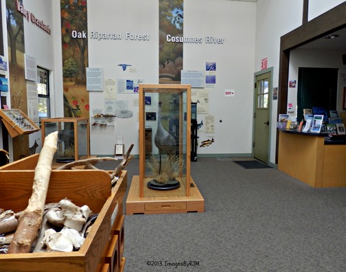 Anything Is Possible Travel - Consumnes River Preserve