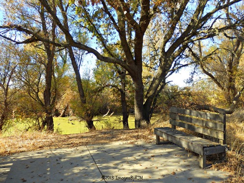 Anything Is Possible Travel - Consumnes River Preserve
