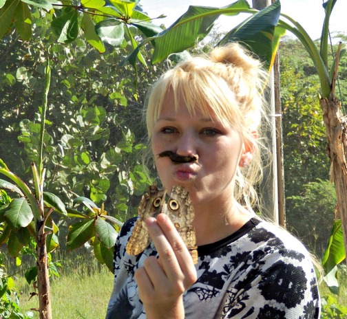 The Island of St. Martin - French and Dutch and Beautiful