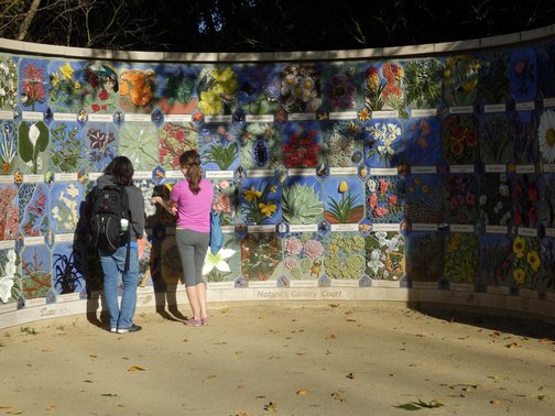 Anything Is Possible Travel; California, Davis, Images by RJM, UC Davis Arboretum, accessibility, arboretum, garden, nature, outdoors, spring, wheelchair accessible,