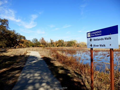 Anything Is Possible Travel - Consumnes River Preserve