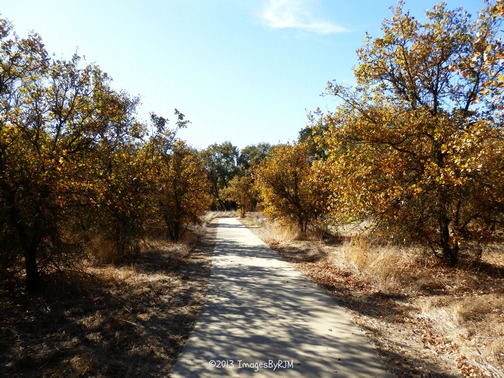 Anything Is Possible Travel - Consumnes River Preserve