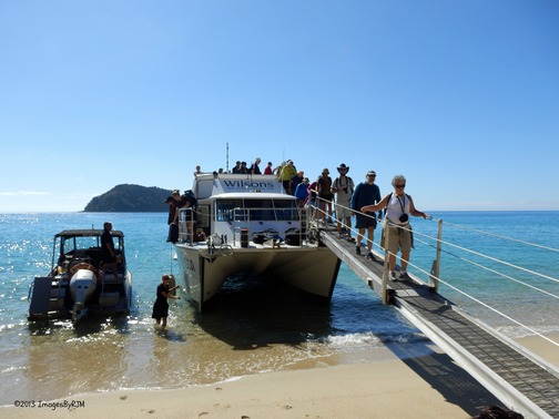 Abel Tasman National Park
