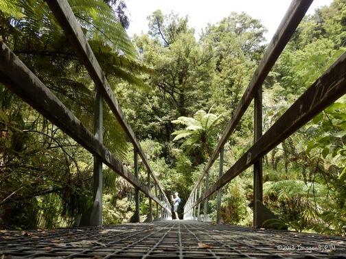Abel Tasman National Park