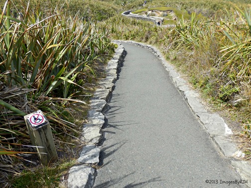 Pancake Rocks - Anything Is Possible Travel