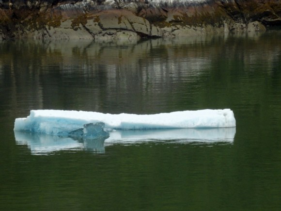 Tracy Arm Fjord | Alaska | glacier | travel | nature | Alaskan cruise | May 2016 | Brent Nixon | glacial ice | ©2016 ImagesByRJM