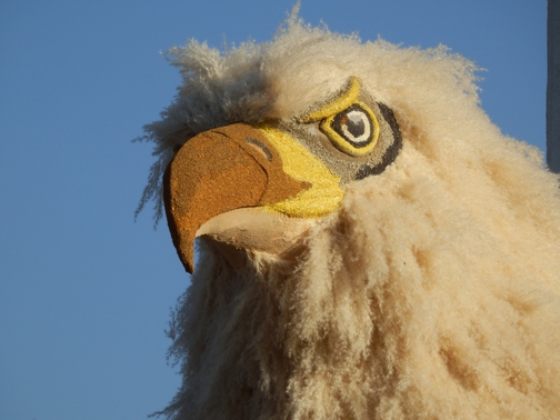 Inspiring Stories, Rose Parade, wheelchair accessible, Showcase of Floats