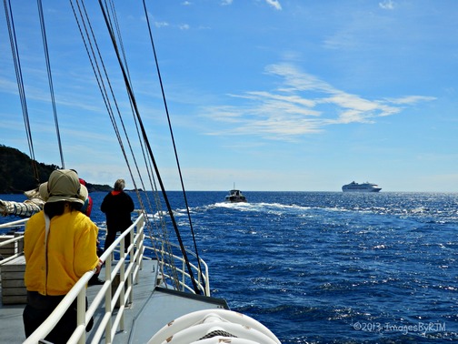 Milford Sound: Breathtaking!