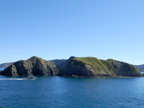 Queen Charlotte Sound, South Island, New Zealand (Feb. 2013)