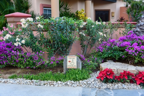 Cabo San Lucas | Baja Mexico | Christmas | Resort | Hacienda Del Mar | Sheraton Grand Los Cabos | wheelchair accessible