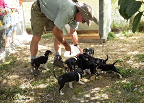 Anything Is Possible Travel - Lady of the Lake, and Tea at the Colonel's Homestead
