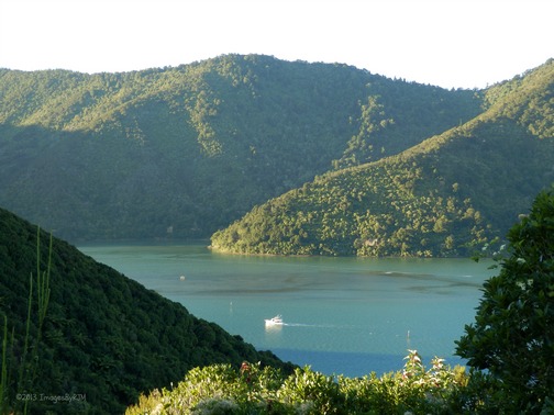 Queen Charlotte Sound, South Island, New Zealand (Feb. 2013)