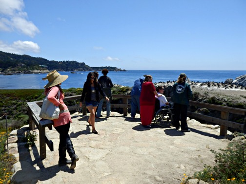 Point Lobos Docent Graduation