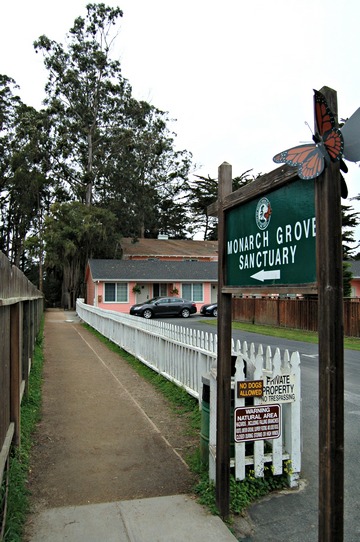 Accessible entrance to Monarch Butterfly Sanctuary, Pacific Grove