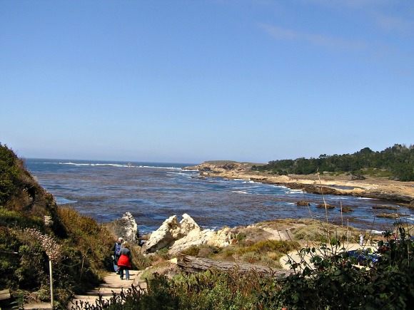 Point Lobos State Reserve, Bird Island Trail
