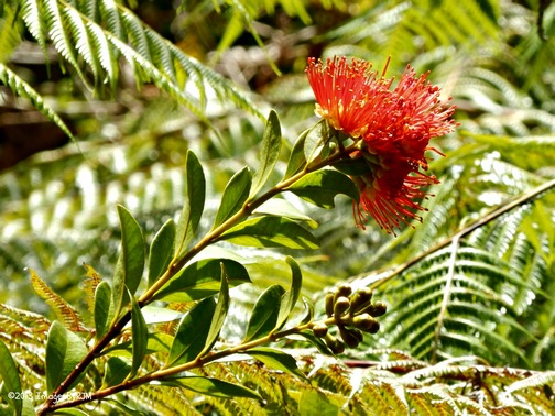 Abel Tasman National Park