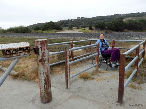 Kirby Park at Elkhorn Slough Preserve
