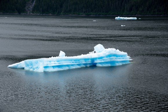 Tracy Arm Fjord | Alaska | glacier | travel | nature | Alaskan cruise | May 2016 | Brent Nixon | glacial ice | ©2016 ImagesByRJM