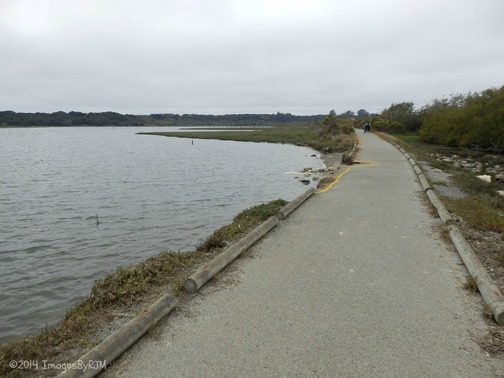 Kirby Park at Elkhorn Slough Preserve