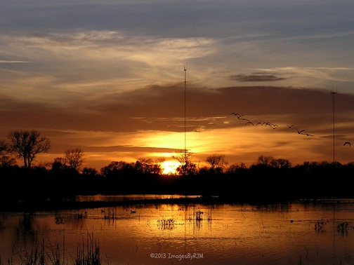 Anything Is Possible Travel - Consumnes River Preserve