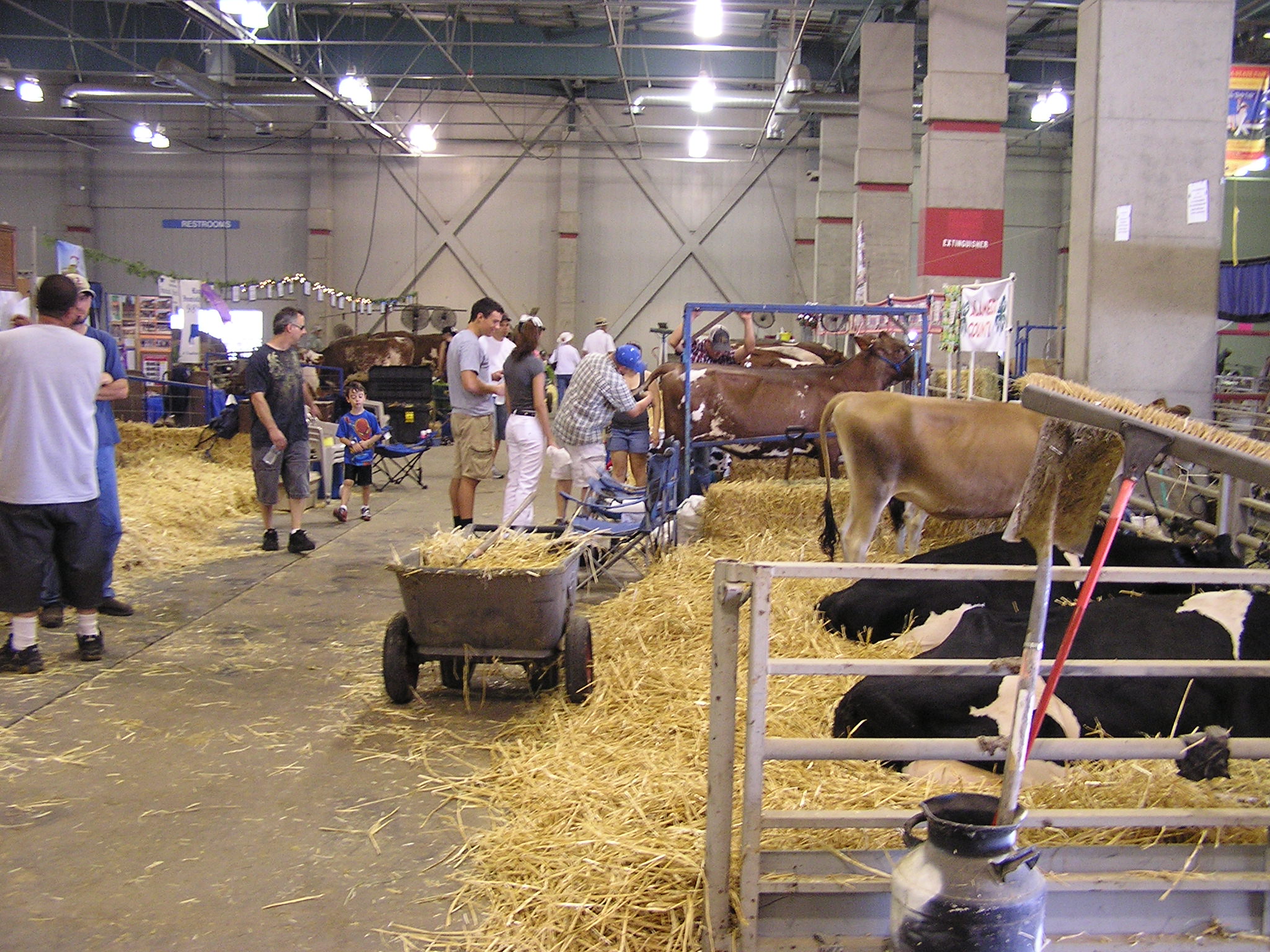 Livestock Pavilion - California State Fair 2012