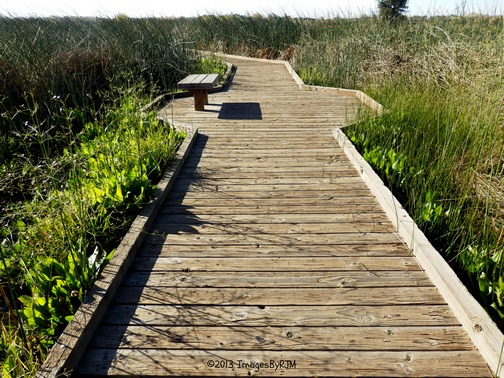 Anything Is Possible Travel - Consumnes River Preserve