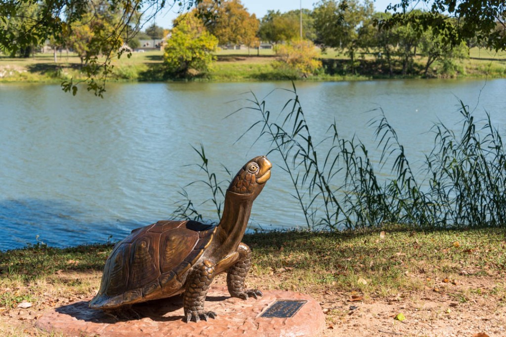 Sculpture entitled "Box Turtle II", part of Waco Sculpture Zoo along Waco Riverwalk, with Brazos River in the background. ©Jeri Murphy Photography